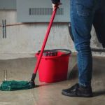 Why Moist Basements Invite Pest Infestations