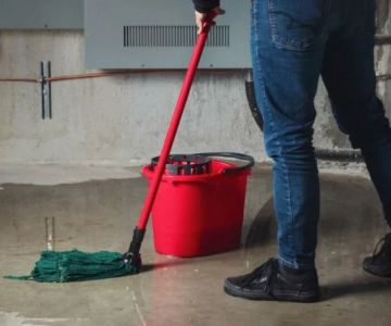 Why Moist Basements Invite Pest Infestations
