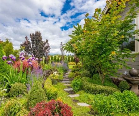 How to Maintain Pest-Free Landscapes Year-Round: Expert Guide