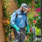 Invisible Entry Points: How Pests Sneak Into Your House Explained