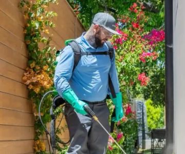 Invisible Entry Points: How Pests Sneak Into Your House Explained