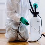How to Prevent Pest Return After Treatment Effectively