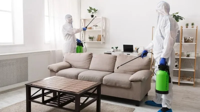How to Prevent Pest Issues During Home Staging: Essential Tips for Homeowners