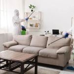 How to Prevent Pest Issues During Home Staging: Essential Tips for Homeowners