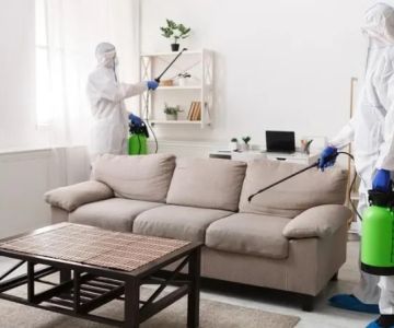 How to Prevent Pest Issues During Home Staging: Essential Tips for Homeowners