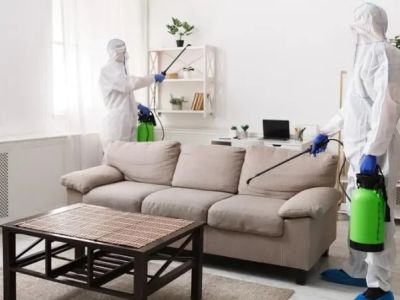 How to Prevent Pest Issues During Home Staging: Essential Tips for Homeowners