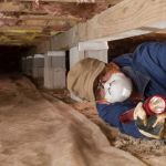 How to Monitor Pest Conditions in Crawlspaces for a Safer Home