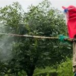 How to Use Biological Controls Against Invasive Pests Effectively
