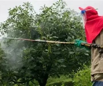 How to Use Biological Controls Against Invasive Pests Effectively