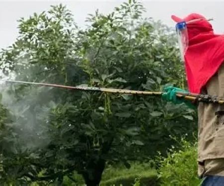How to Use Biological Controls Against Invasive Pests Effectively