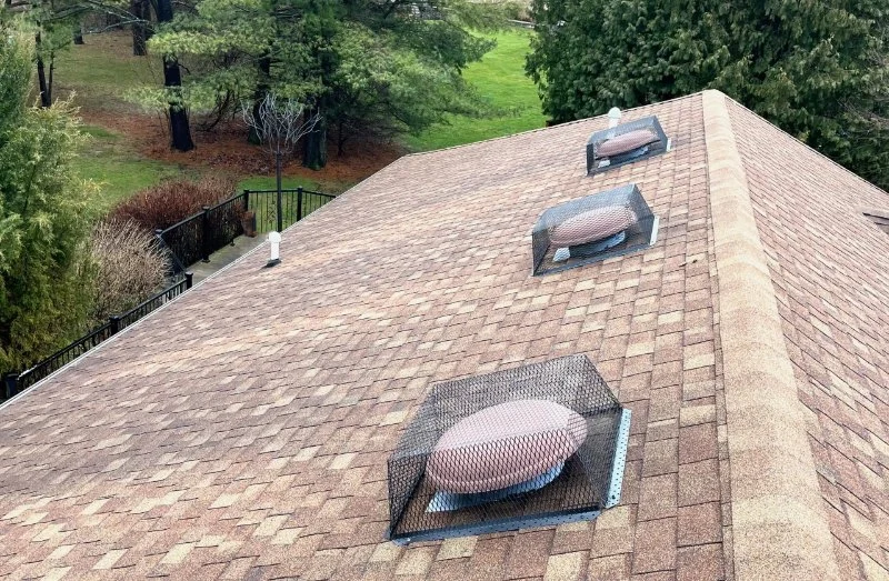 How to Deal With Pest Intrusions Through Roof Vents