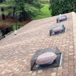 How to Deal With Pest Intrusions Through Roof Vents