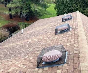 How to Deal With Pest Intrusions Through Roof Vents