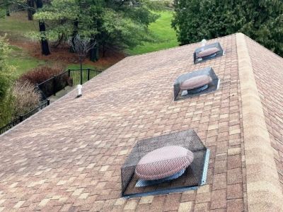 How to Deal With Pest Intrusions Through Roof Vents