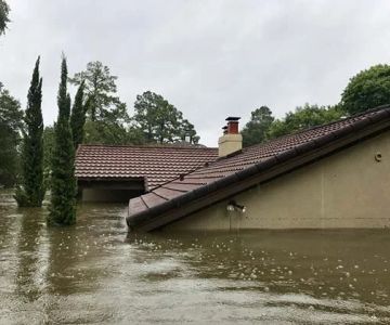 How to Plan Pest Control After Flood Damage for a Safe Home
