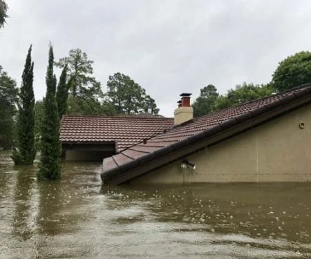 How to Plan Pest Control After Flood Damage for a Safe Home