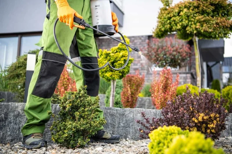 How to Implement Recurring Pest Maintenance Plans Effectively