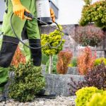 How to Implement Recurring Pest Maintenance Plans Effectively