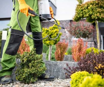 How to Implement Recurring Pest Maintenance Plans Effectively