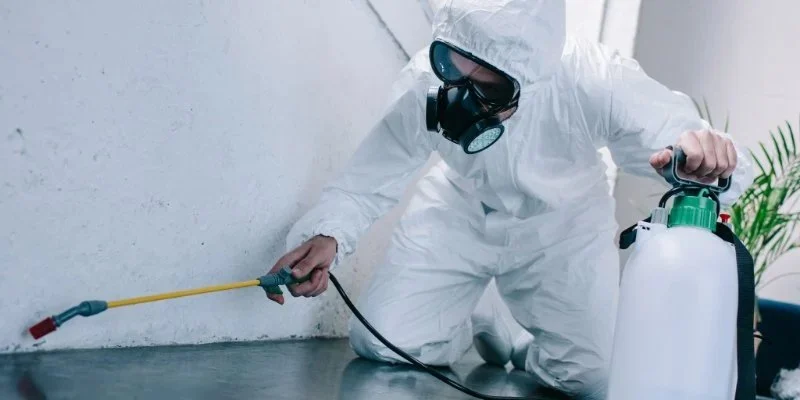 How to Conduct a Pest Risk Assessment at Home