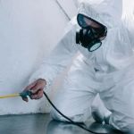 How to Conduct a Pest Risk Assessment at Home