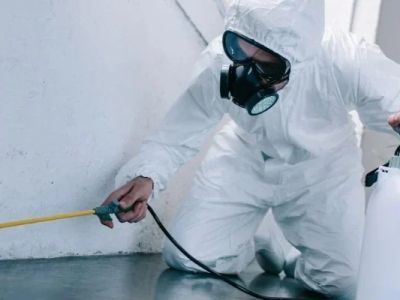 How to Conduct a Pest Risk Assessment at Home