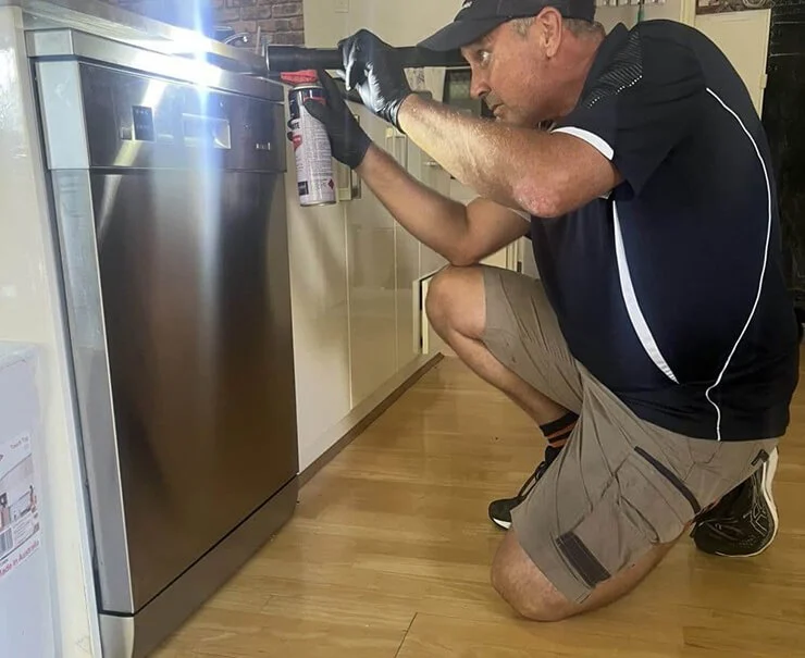 How to Protect Home Additions from Pest Entry: Complete Prevention Guide