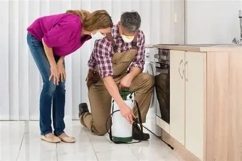 How to Prevent Pest Infestations While You Travel Safely