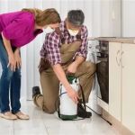 How to Prevent Pest Infestations While You Travel Safely