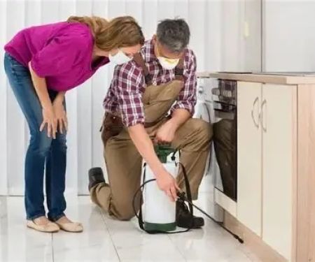 How to Prevent Pest Infestations While You Travel Safely