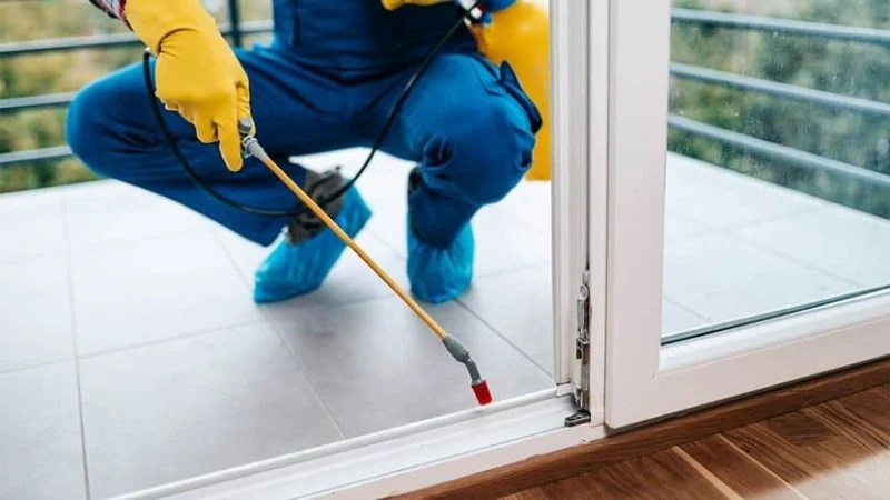 Why Some Pest Control Treatments Fail (And How to Avoid It)