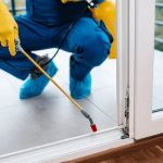 Why Some Pest Control Treatments Fail (And How to Avoid It)