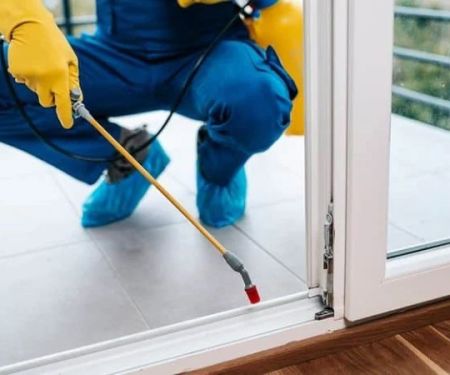 Why Some Pest Control Treatments Fail (And How to Avoid It)