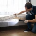 How to Prevent Pest Spread in Multi-Unit Homes