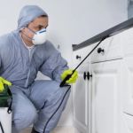 How to Control Pests Without Damaging Your Property Safely