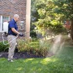 How to Prevent Pest Intrusion via Landscaping and Protect Your Home