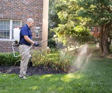 How to Prevent Pest Intrusion via Landscaping and Protect Your Home