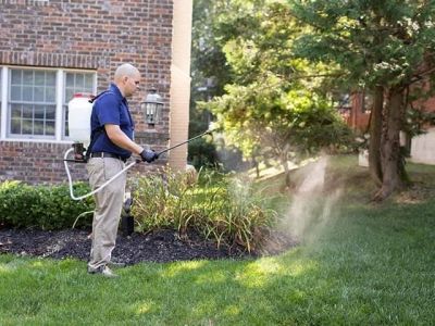 How to Prevent Pest Intrusion via Landscaping and Protect Your Home
