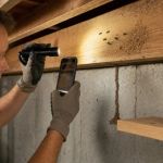 Carpenter Ants vs Termites: Signs Homeowners Can Check