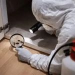 How to Deal With Pest Infestations in Wall Voids Safely and Effectively