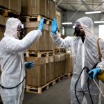 Safe Pest Control Around Food Storage Areas
