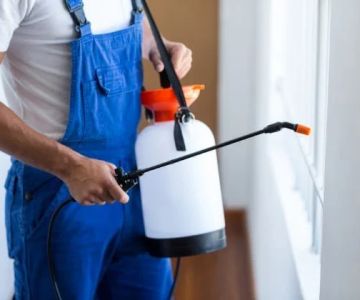 DIY vs Professional Pest Control: Which Saves More Money?