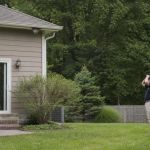 Wasp Nest Near the Home: Keep Back and Get Advice