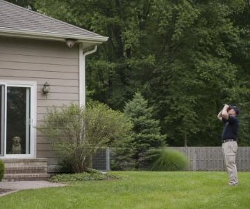 Wasp Nest Near the Home: Keep Back and Get Advice