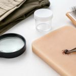 Tick Found Indoors: Check People, Pets, and Clothing