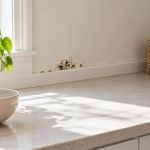 Pest Control Access Plan: A Practical US Checklist