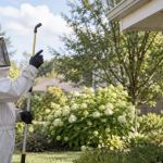 Wasp Nest Service Call: Location, Activity, and Safe Distance